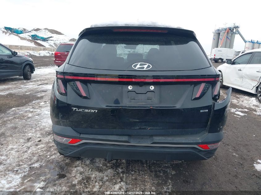 2024 Hyundai Tucson Sel VIN: 5NMJFCDE6RH380355 Lot: 43901210