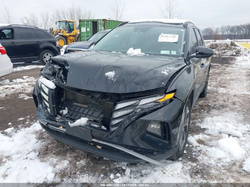 2024 Hyundai Tucson Sel VIN: 5NMJFCDE6RH380355 Lot: 43901210