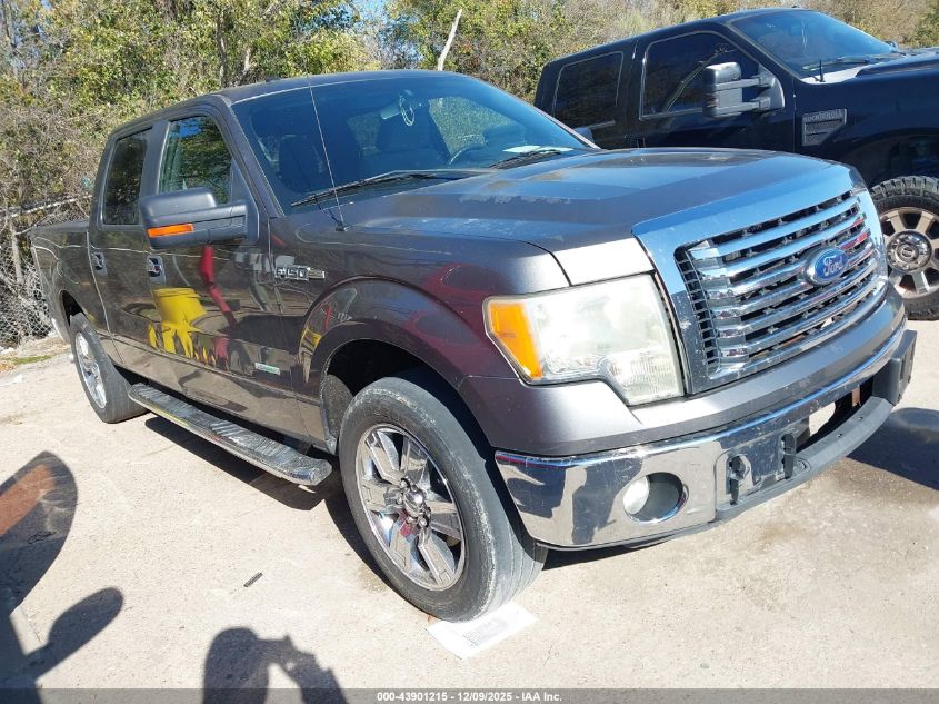 FORD F-150 XLT