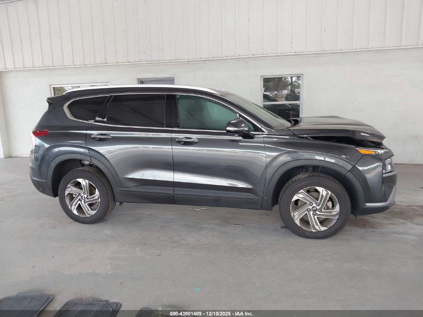 2023 Hyundai Santa Fe Sel VIN: 5NMS2DAJ3PH643602 Lot: 43901409