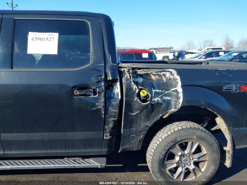 2015 Ford F-150 Xlt VIN: 1FTEW1EF0FFA95236 Lot: 43901527