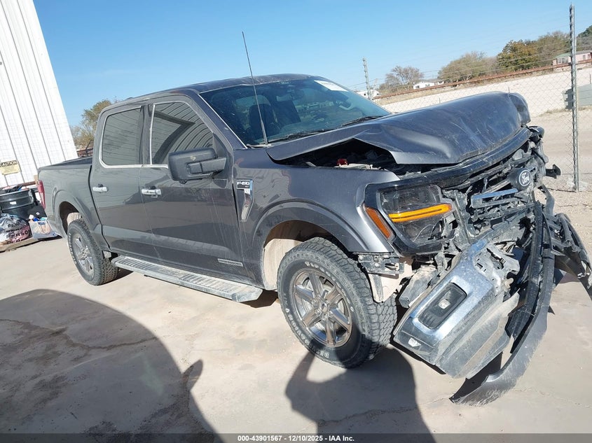 1FTFW3LD7RFA35668 2024 FORD F-150 photo no. 13