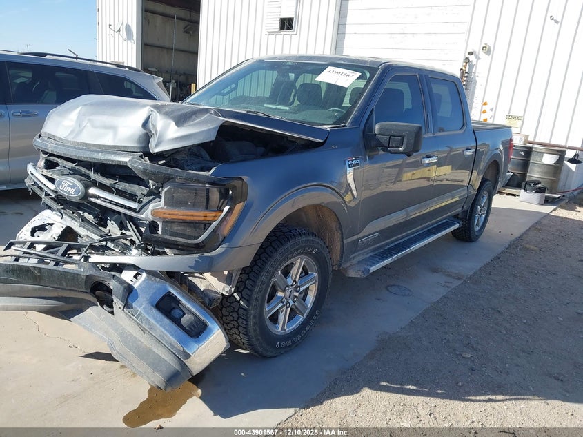 1FTFW3LD7RFA35668 2024 FORD F-150 photo no. 2