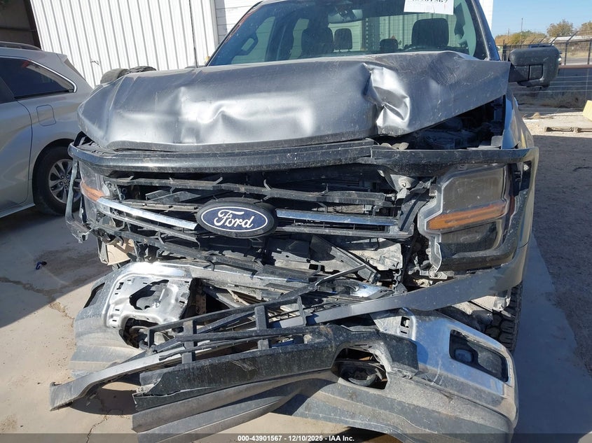 1FTFW3LD7RFA35668 2024 FORD F-150 photo no. 6