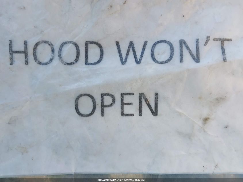 2010 Ford F-150 Fx2 Sport/Xl/Xlt VIN: 1FTEW1C81AFD34113 Lot: 43902442