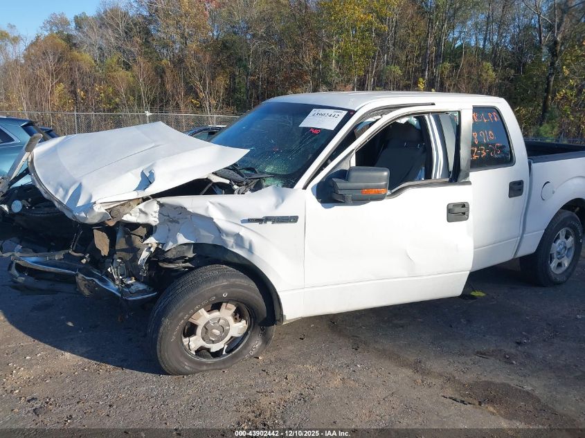 2010 Ford F-150 Fx2 Sport/Xl/Xlt VIN: 1FTEW1C81AFD34113 Lot: 43902442