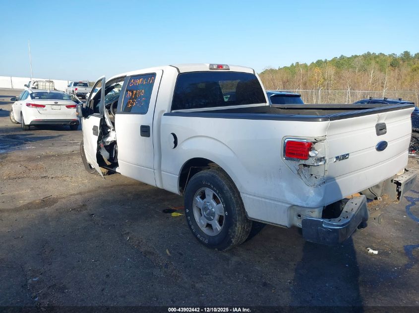 2010 Ford F-150 Fx2 Sport/Xl/Xlt VIN: 1FTEW1C81AFD34113 Lot: 43902442