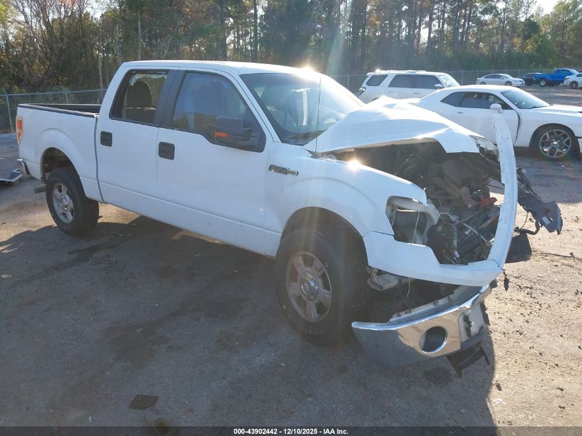 2010 Ford F-150 Fx2 Sport/Xl/Xlt VIN: 1FTEW1C81AFD34113 Lot: 43902442