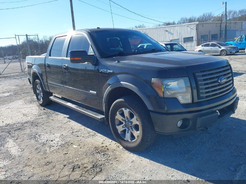 FORD F-150 FX4