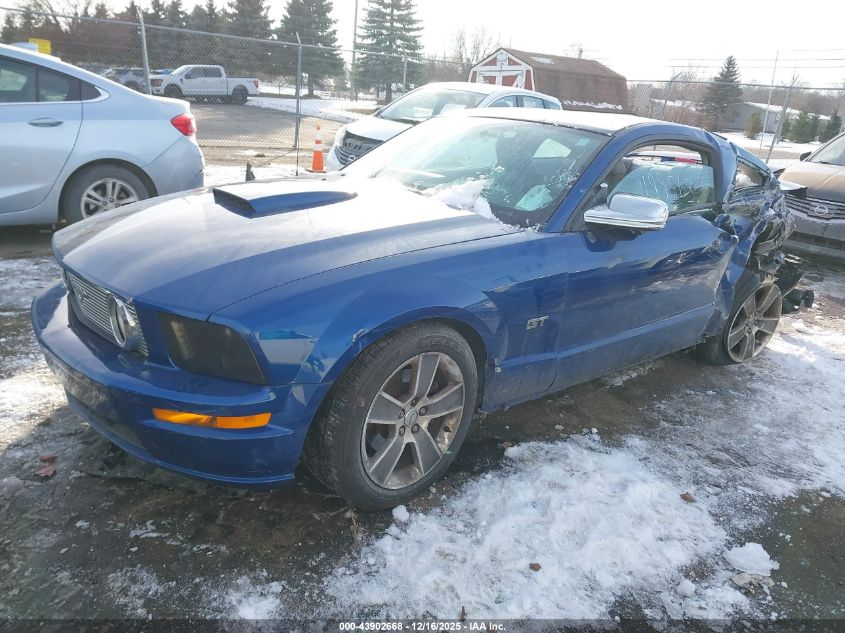 2008 Ford Mustang Gt Deluxe/Gt Premium VIN: 1ZVHT82H785199863 Lot: 43902668