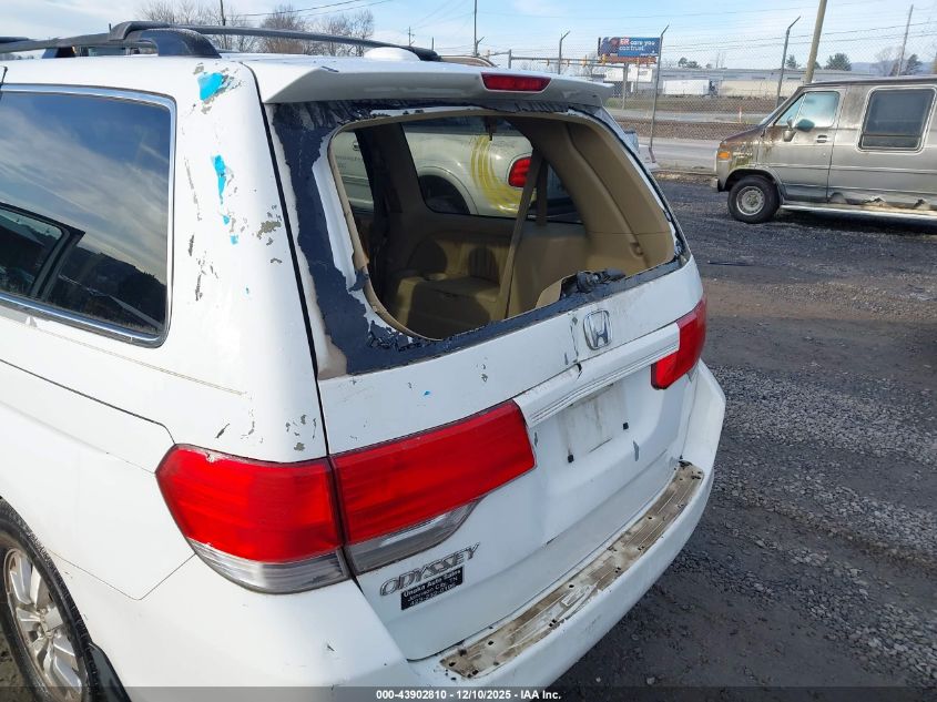 2008 Honda Odyssey Ex-L VIN: 5FNRL386X8B107028 Lot: 43902810