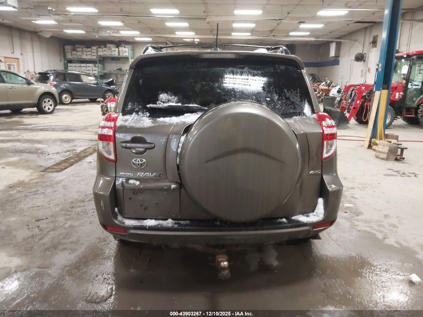 2009 Toyota Rav4 VIN: JTMBF33V69D020260 Lot: 43903267