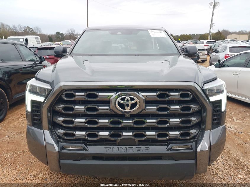 2023 Toyota Tundra Platinum VIN: 5TFNA5DB0PX114433 Lot: 43903445