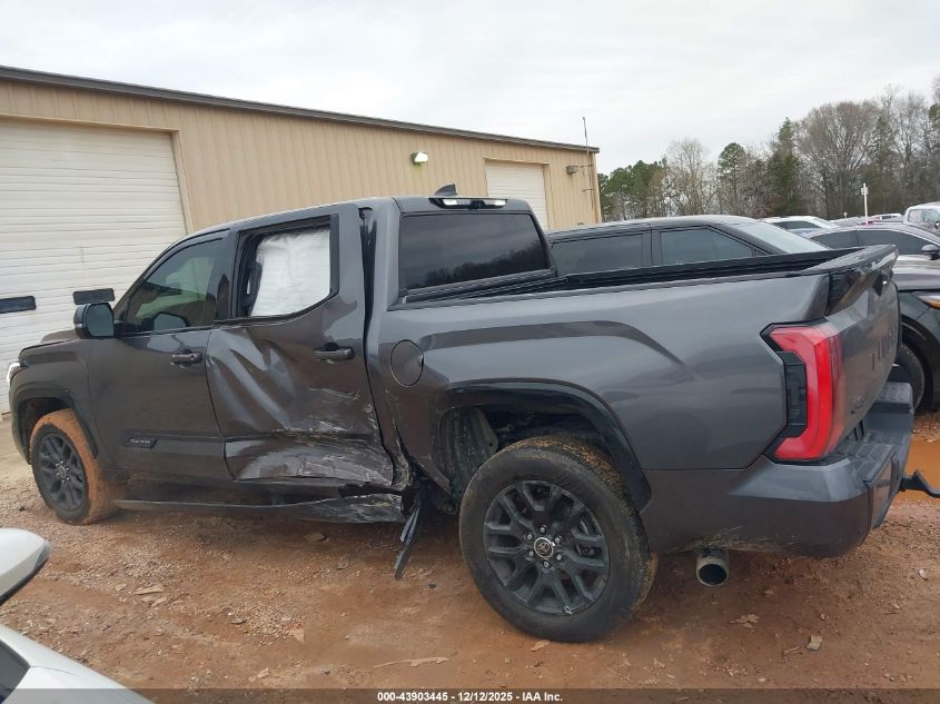 2023 Toyota Tundra Platinum VIN: 5TFNA5DB0PX114433 Lot: 43903445