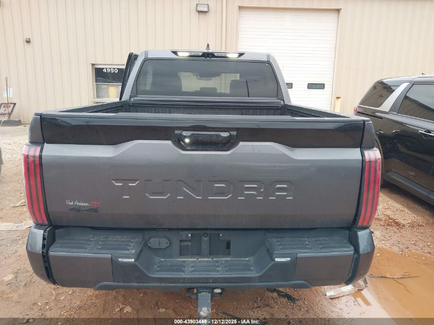 2023 Toyota Tundra Platinum VIN: 5TFNA5DB0PX114433 Lot: 43903445