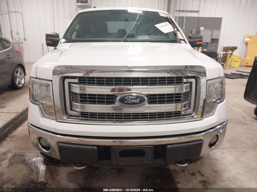 2014 Ford F-150 Xlt VIN: 1FTFW1EF1EFD11145 Lot: 43903831