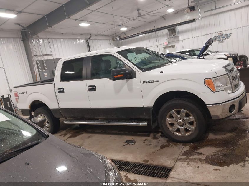 2014 Ford F-150 Xlt VIN: 1FTFW1EF1EFD11145 Lot: 43903831