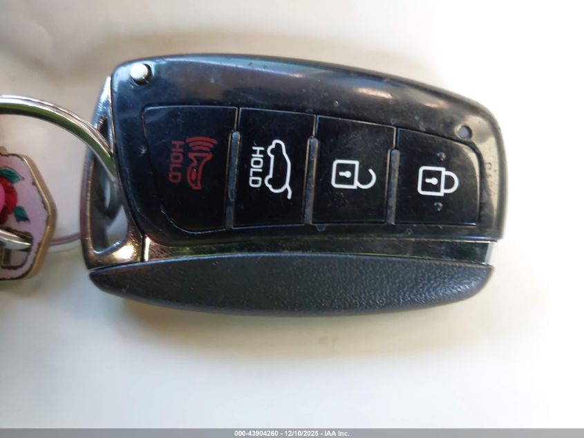 2013 Hyundai Santa Fe Sport VIN: 5XYZU3LB5DG118250 Lot: 43904260