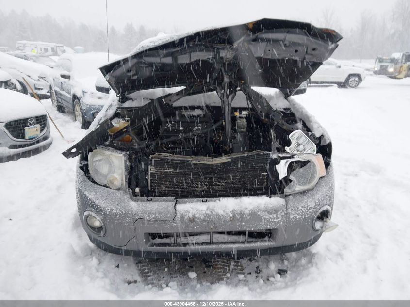 2009 Ford Escape Xlt VIN: 1FMCU93G19KB10048 Lot: 43904458