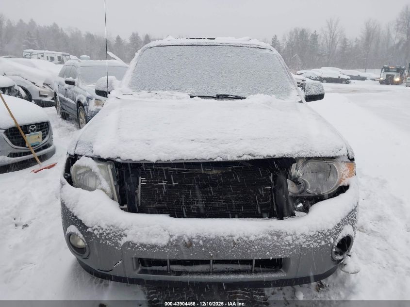 2009 Ford Escape Xlt VIN: 1FMCU93G19KB10048 Lot: 43904458