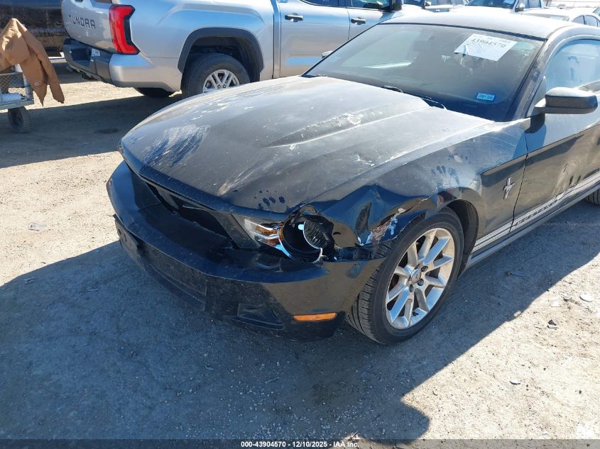 2010 Ford Mustang V6/V6 Premium VIN: 1ZVBP8AN8A5116819 Lot: 43904570
