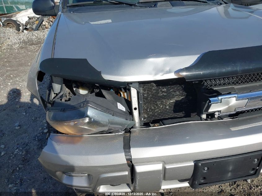 2004 Chevrolet Trailblazer Ls VIN: 1GNDT13SX42246261 Lot: 43904939