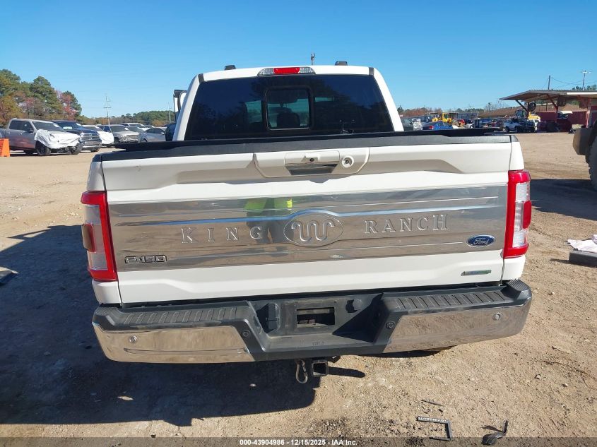 2023 Ford F-150 King Ranch VIN: 1FTFW1E85PFD22640 Lot: 43904986