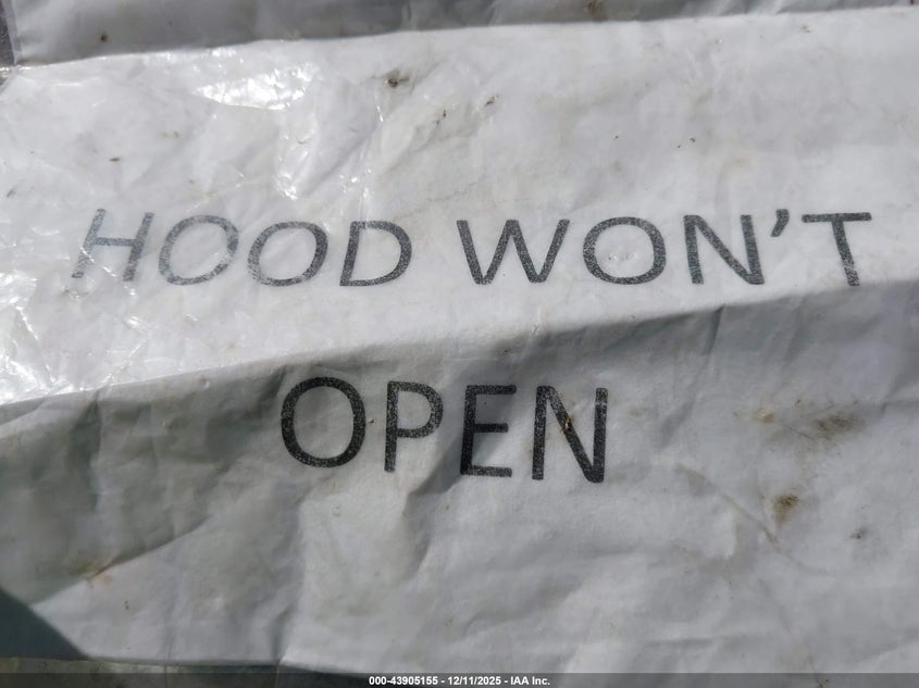 2007 Toyota Camry Xle VIN: 4T1BE46KX7U096678 Lot: 43905155