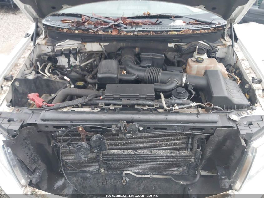 2010 Ford F-150 Fx4/Lariat/Xl/Xlt VIN: 1FTFX1EV0AFA36317 Lot: 43905223