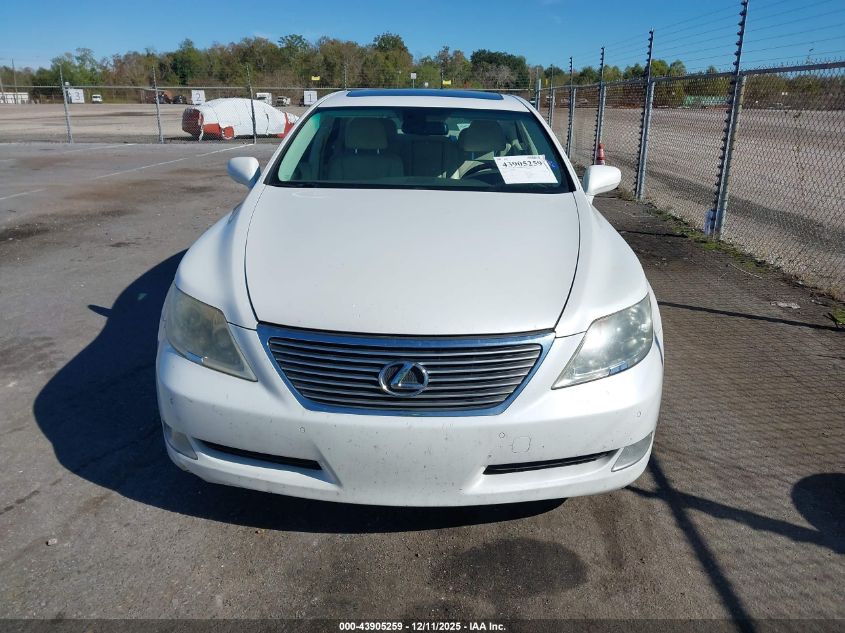 2008 Lexus Ls 460 VIN: JTHBL46F385081981 Lot: 43905259