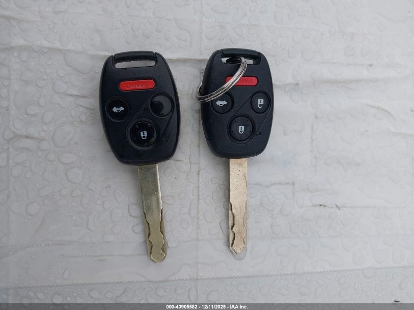 2005 Honda Accord 3.0 Lx Special Edition VIN: 1HGCM82465A015699 Lot: 43905582