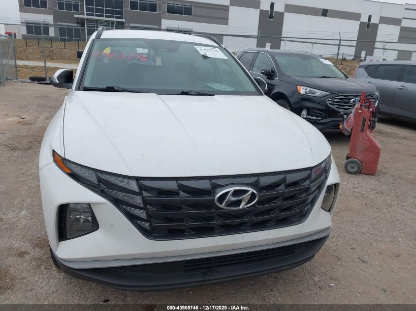 2023 Hyundai Tucson VIN: 5NMJB3AE8PH290217 Lot: 43905746