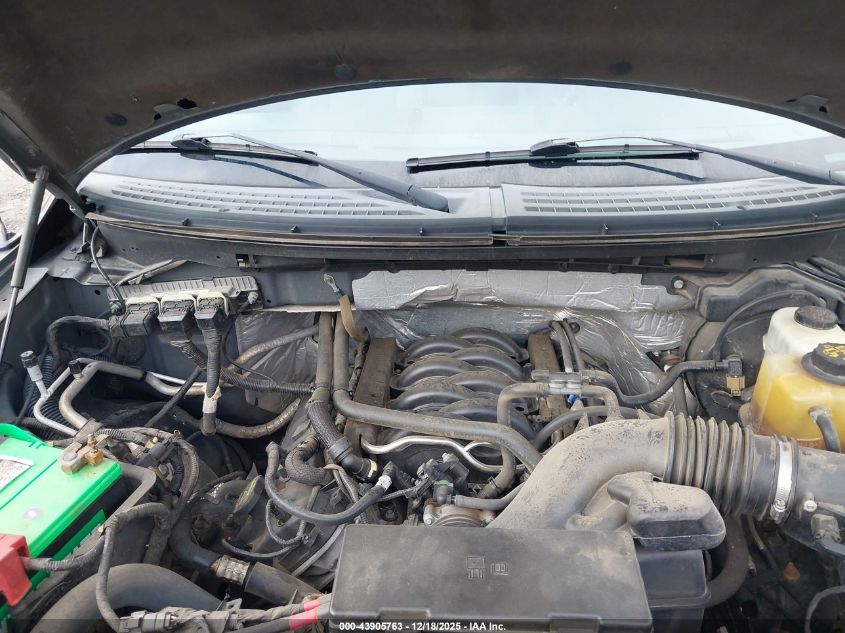 2013 Ford F-150 Xlt VIN: 1FTFW1EF2DFC77036 Lot: 43905763