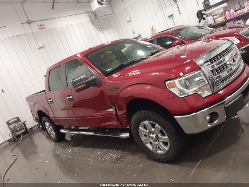 2014 Ford F-150 Xlt VIN: 1FTFW1ET0EKG45177 Lot: 43905796