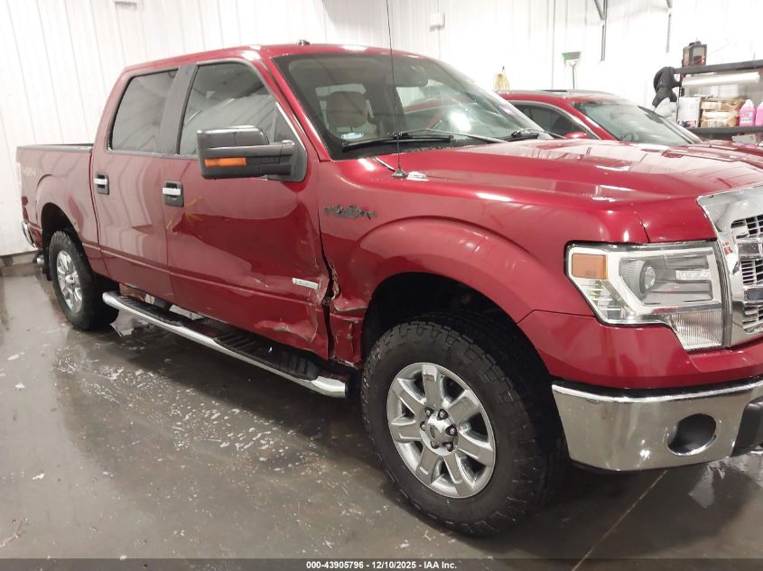2014 Ford F-150 Xlt VIN: 1FTFW1ET0EKG45177 Lot: 43905796