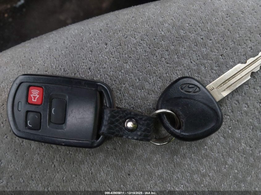 2006 Hyundai Santa Fe Gls/Limited VIN: KM8SC73E86U095470 Lot: 43905811