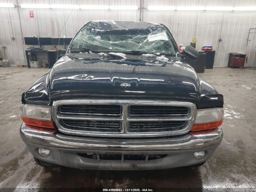 2003 Dodge Dakota Slt VIN: 1D7HG48N93S334984 Lot: 43905882
