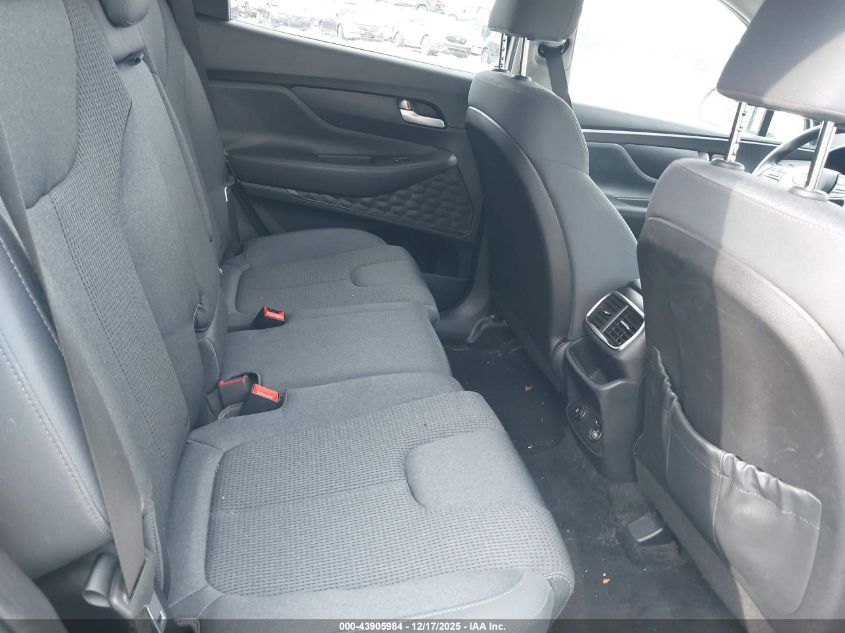 2019 Hyundai Santa Fe Se VIN: 5NMS2CAD9KH115379 Lot: 43905984