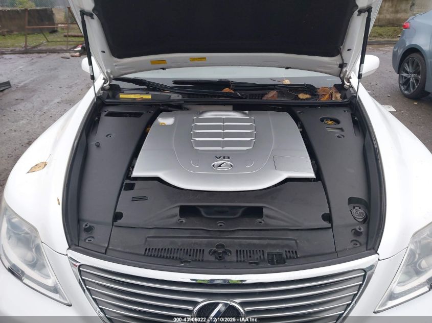 2009 Lexus Ls 460 VIN: JTHCL46F095002353 Lot: 43906022