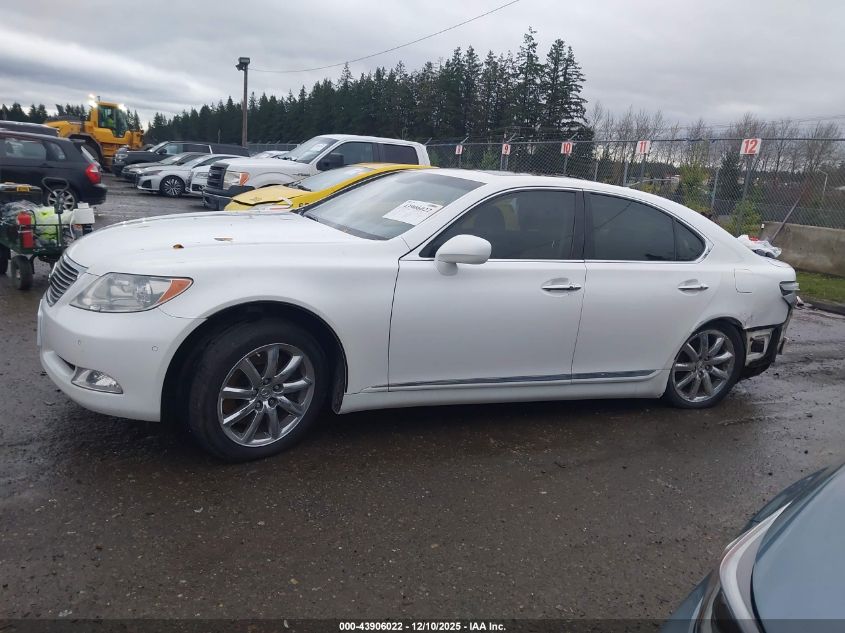 2009 Lexus Ls 460 VIN: JTHCL46F095002353 Lot: 43906022
