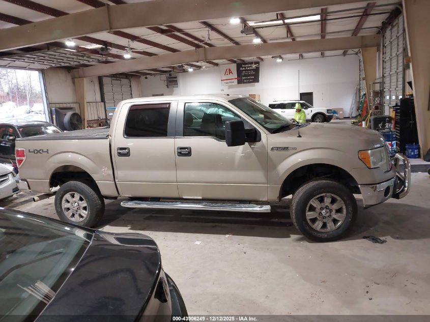 2010 Ford F-150 Fx4/Harley-Davidson/King Ranch/Lariat/Platinum/Xl/Xlt VIN: 1FTFW1EV1AFD01295 Lot: 43906249