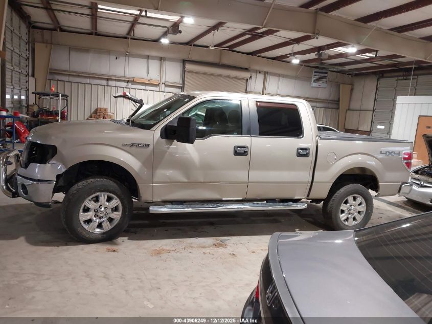 2010 Ford F-150 Fx4/Harley-Davidson/King Ranch/Lariat/Platinum/Xl/Xlt VIN: 1FTFW1EV1AFD01295 Lot: 43906249