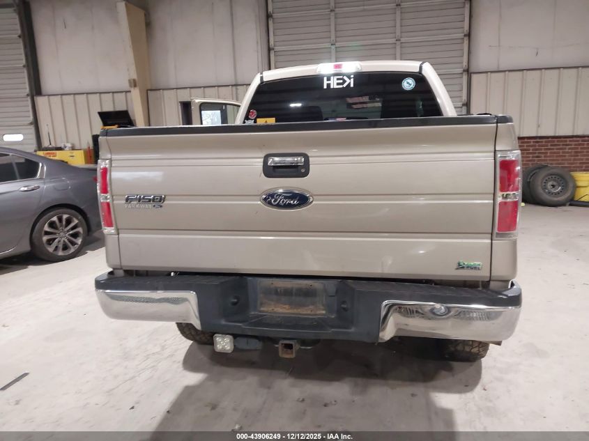 2010 Ford F-150 Fx4/Harley-Davidson/King Ranch/Lariat/Platinum/Xl/Xlt VIN: 1FTFW1EV1AFD01295 Lot: 43906249