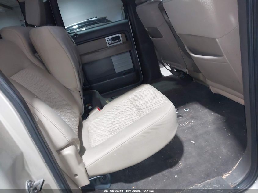 2010 Ford F-150 Fx4/Harley-Davidson/King Ranch/Lariat/Platinum/Xl/Xlt VIN: 1FTFW1EV1AFD01295 Lot: 43906249