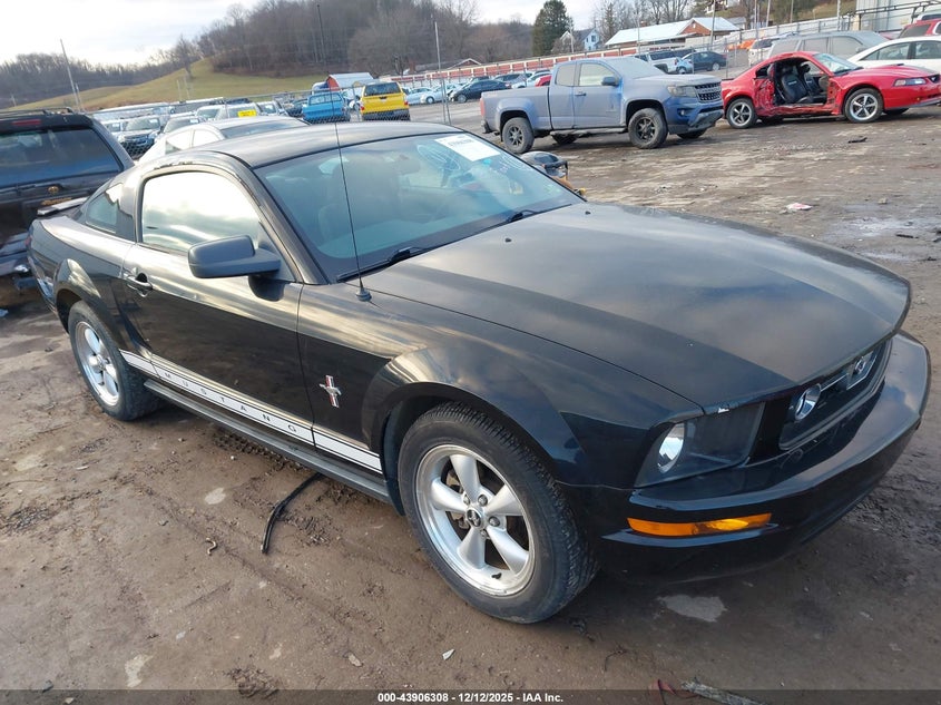 1ZVFT80N375252637 FORD MUSTANG Photo 1