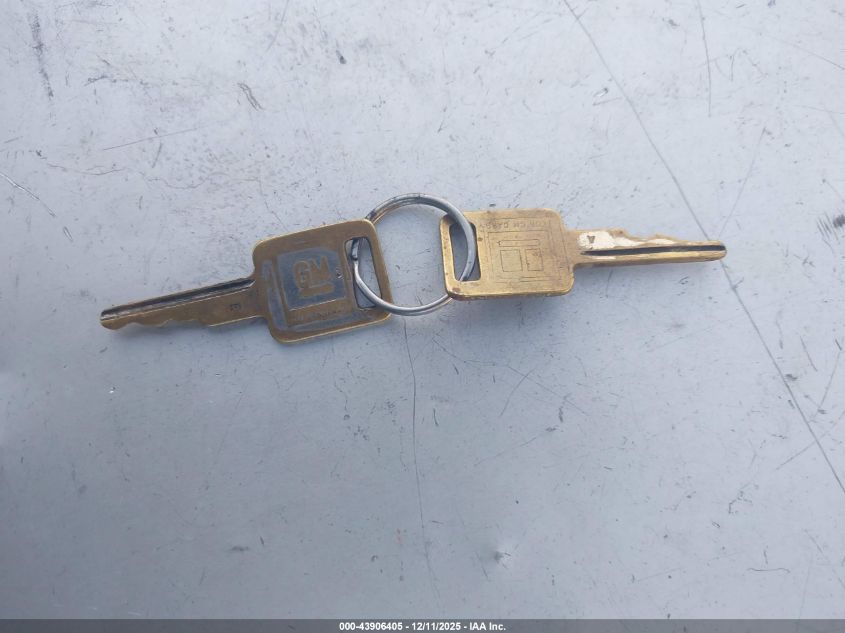 1973 Chevrolet C20 VIN: CCY243Z174858 Lot: 43906405