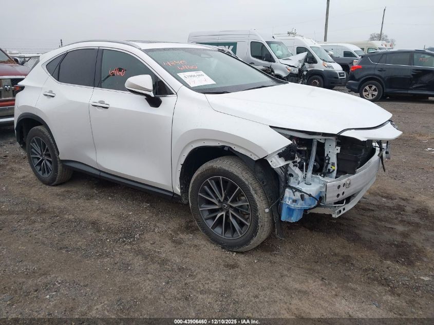 LEXUS NX 350 NX 350