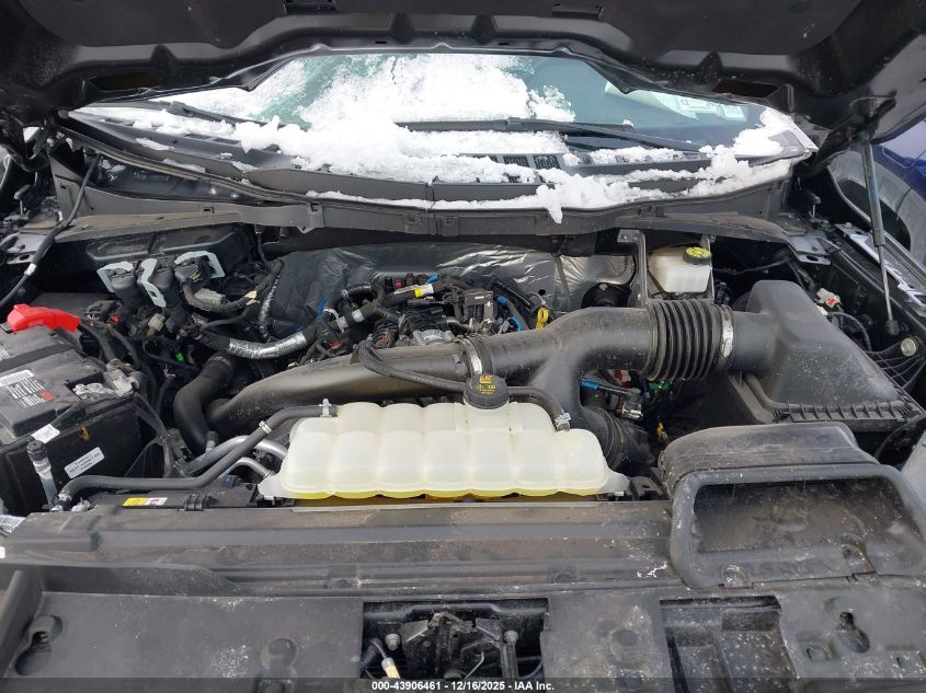 2024 Ford F-150 Xlt VIN: 1FTEW3LP6RKF51601 Lot: 43906461