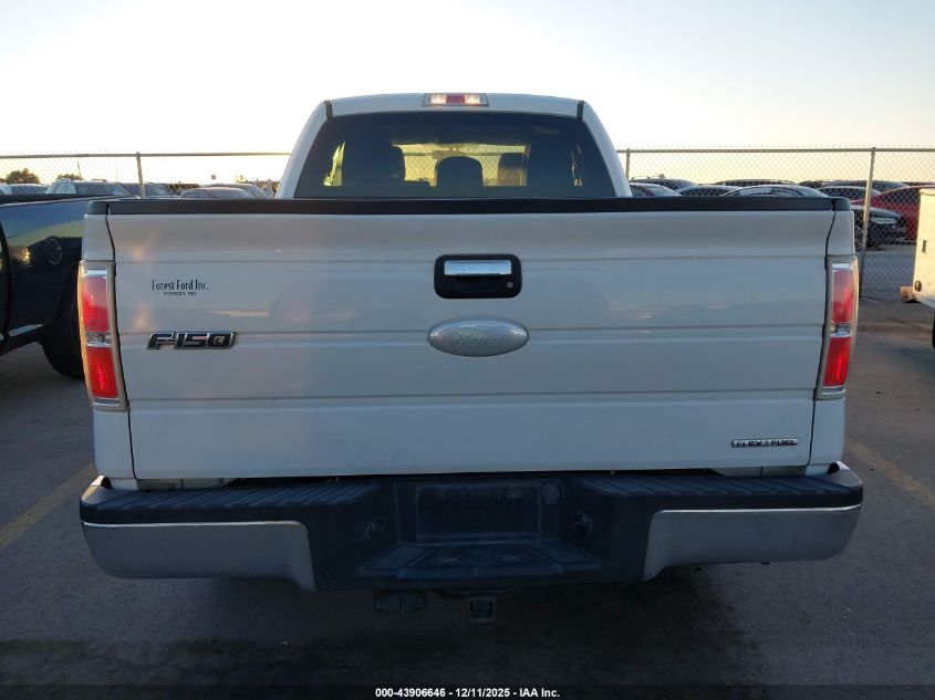 2012 Ford F-150 Xlt VIN: 1FTFX1CF0CFB80416 Lot: 43906646