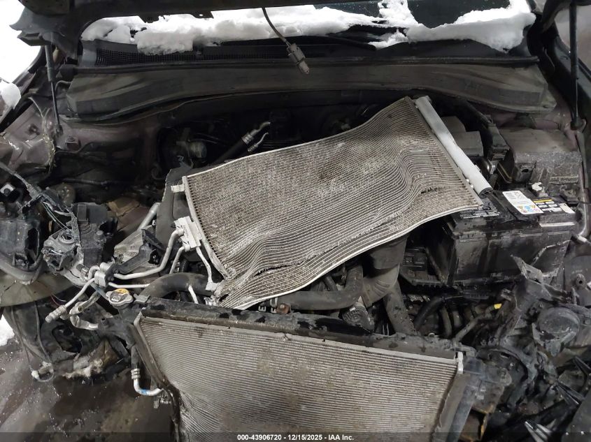 2019 Hyundai Santa Fe Sel VIN: 5NMS3CAD3KH005649 Lot: 43906720